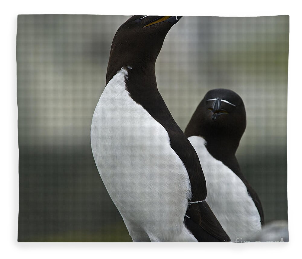 Festblues Fleece Blanket featuring the photograph Bonded for Life... by Nina Stavlund