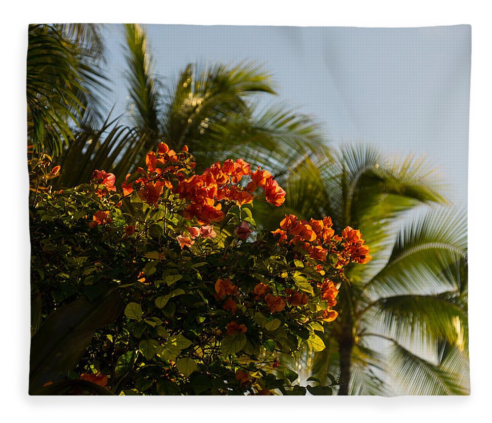 Bougainvillea Fleece Blanket featuring the photograph Bougainvilleas and Palm Trees Swaying in the Wind in Waikiki Honolulu Hawaii by Georgia Mizuleva