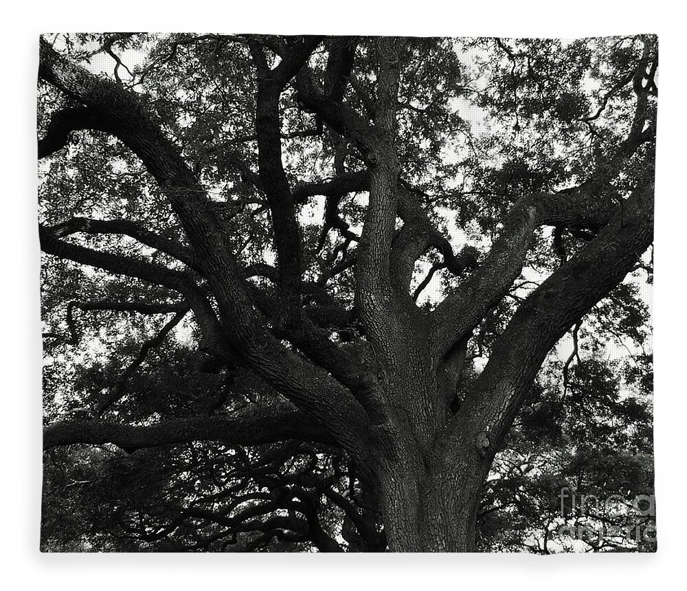 Season Fleece Blanket featuring the photograph Branches of life by Andrea Anderegg
