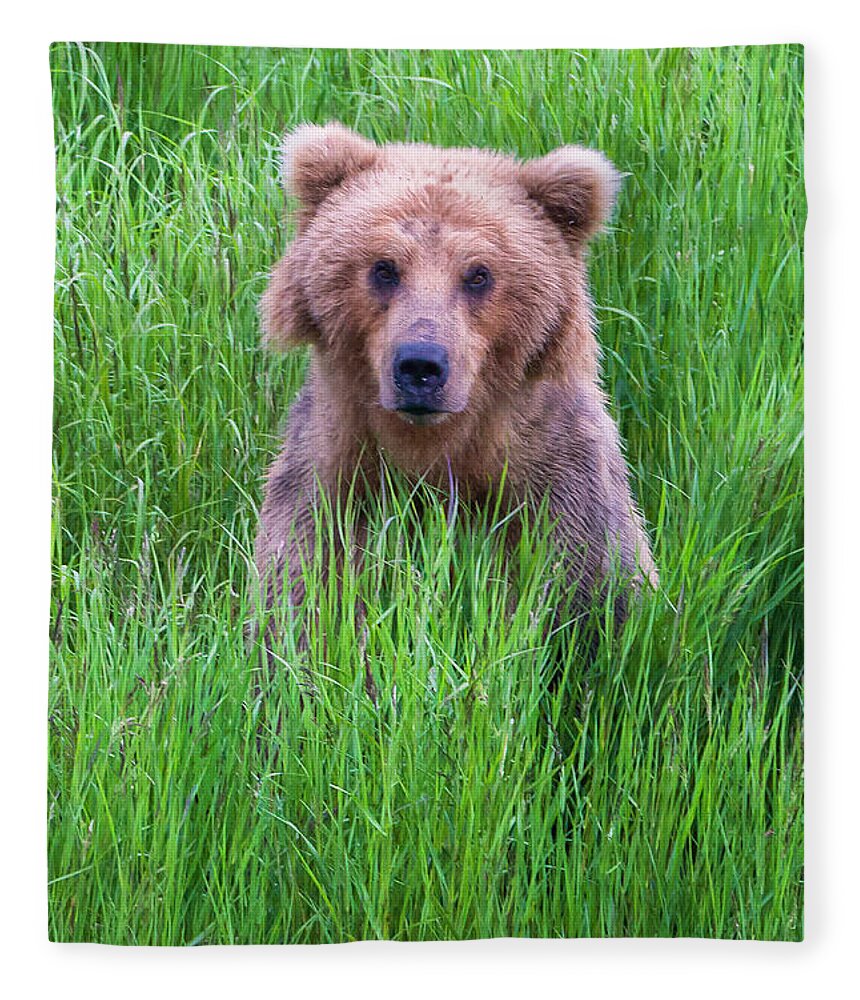 Brown Bear Fleece Blanket featuring the photograph Brown Bear In The Grass by Keren Su