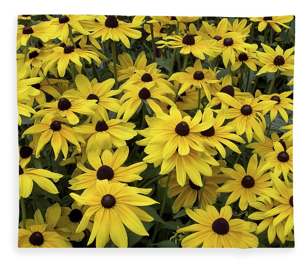 Eyed Fleece Blanket featuring the photograph Brown Eyed Susans by Penny Lisowski