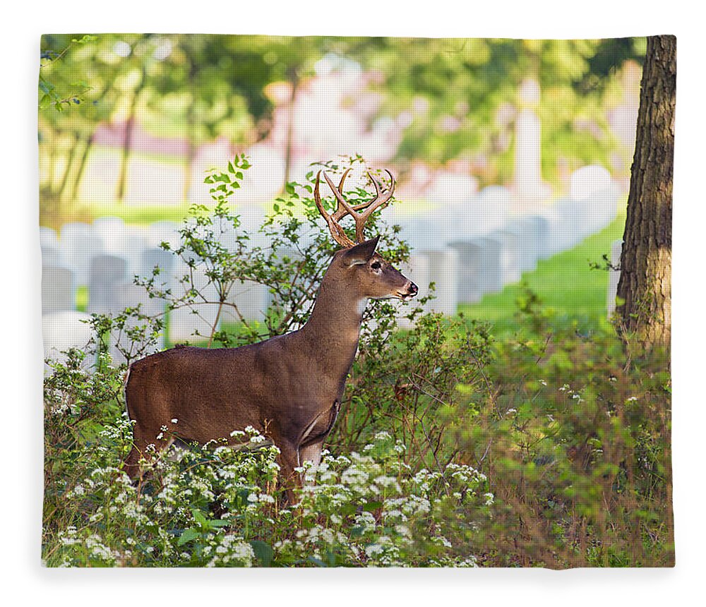 Deer Fleece Blanket featuring the photograph Buck In A Bush by Bill and Linda Tiepelman
