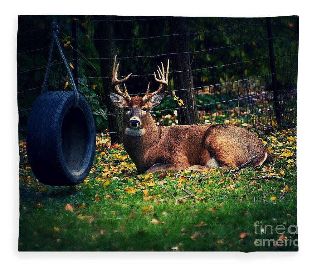 Buck Fleece Blanket featuring the photograph Buck in the Back Yard by Frank J Casella