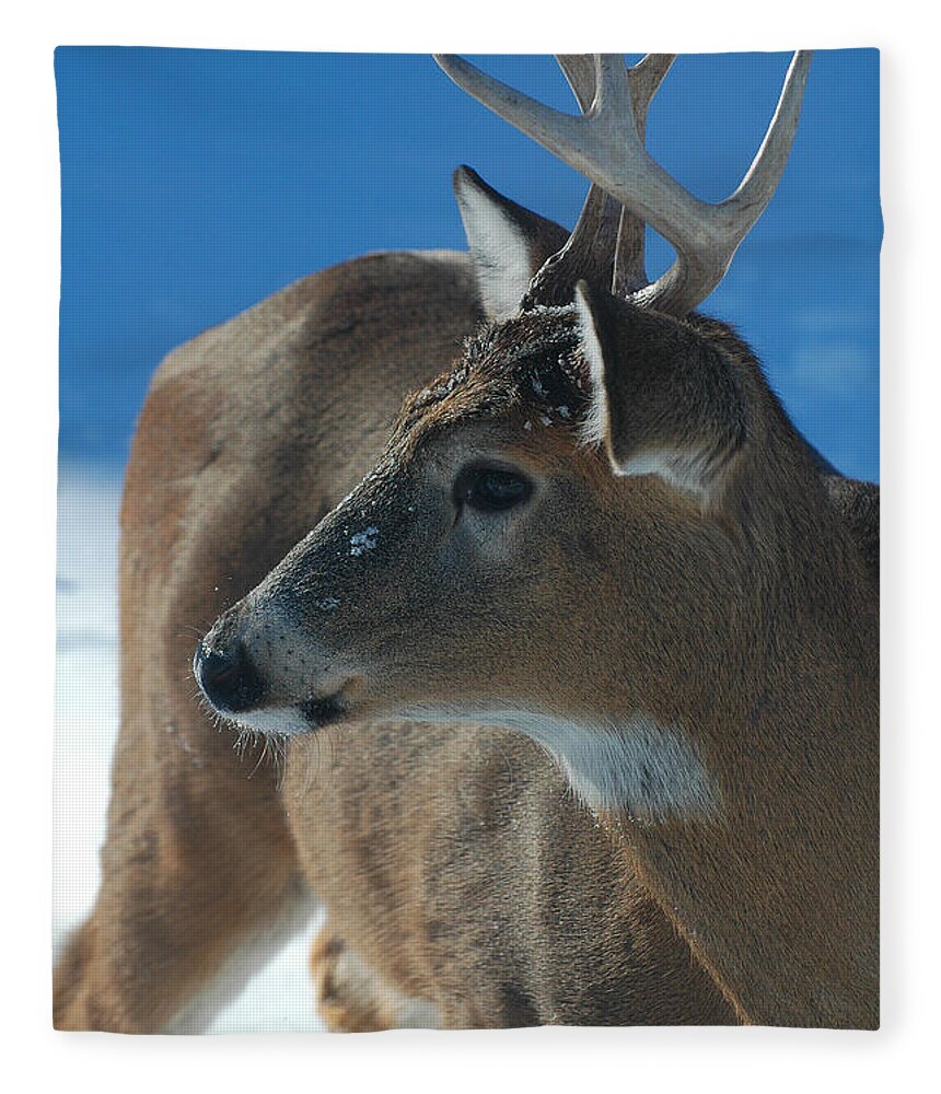 8-point Buck Fleece Blanket featuring the photograph Buck profile by Joan Wallner