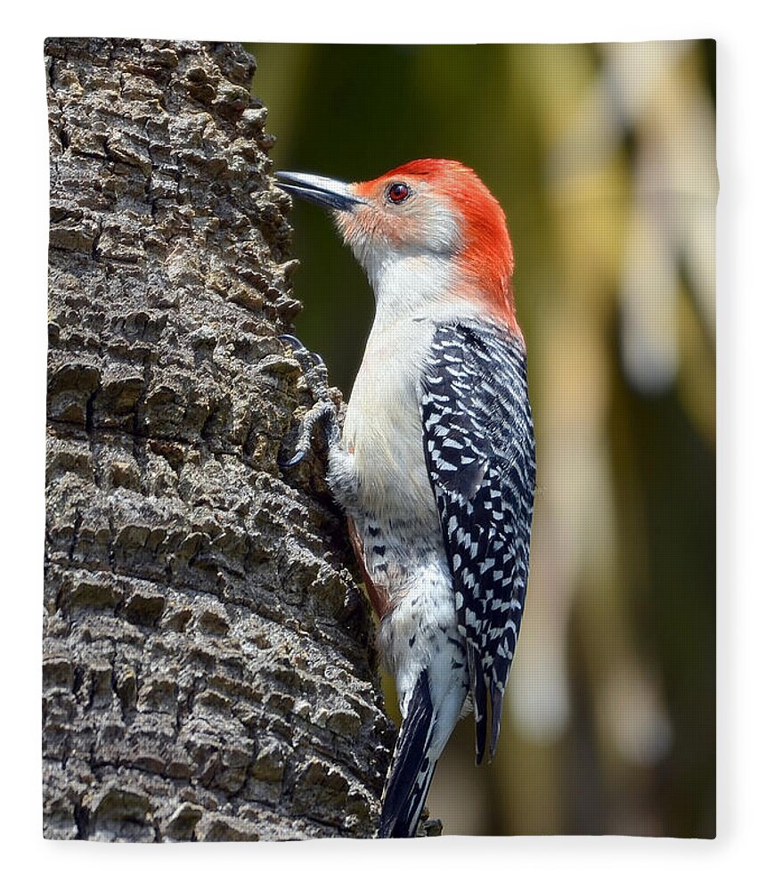 Woodpecker Fleece Blanket featuring the photograph Building A Home by Kathy Baccari