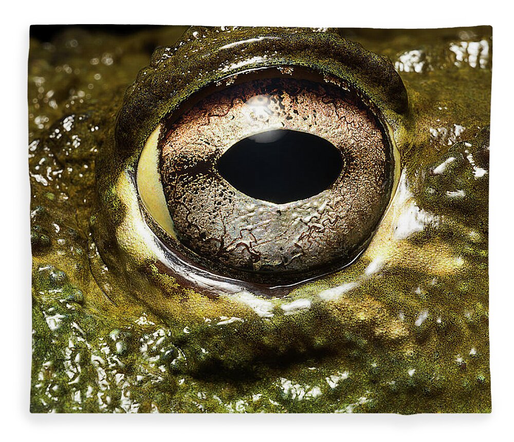 Eyesight Fleece Blanket featuring the photograph Bullfrogs Eye, Close Up by Jonathan Knowles