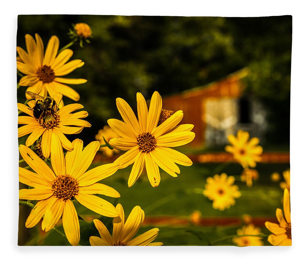 Barn Fleece Blanket featuring the photograph Bumble Bee on a Western Sunflower by Ron Pate