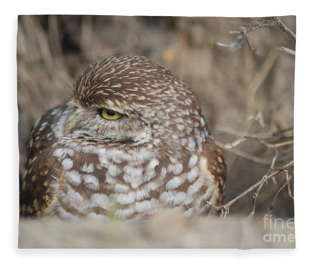 Bird Image Fleece Blanket featuring the photograph Burrowing Owl by Oksana Semenchenko