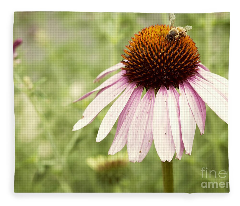 Anthophila Fleece Blanket featuring the photograph Busy Little Bee by Juli Scalzi