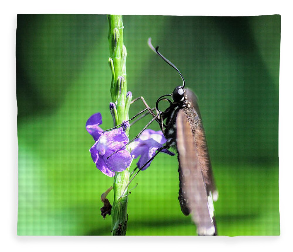 Butterfly Fleece Blanket featuring the photograph Butterfly by Becca Buecher