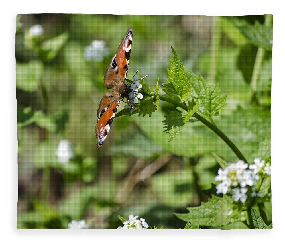 Butterfly Fleece Blanket featuring the photograph Butterfly by Spikey Mouse Photography