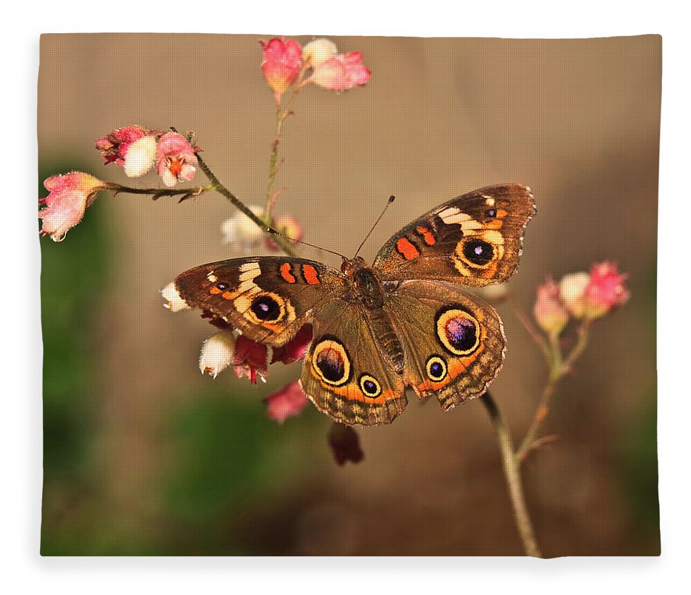 Butterfly Fleece Blanket featuring the photograph Butterfly On Pink by Beth Sargent