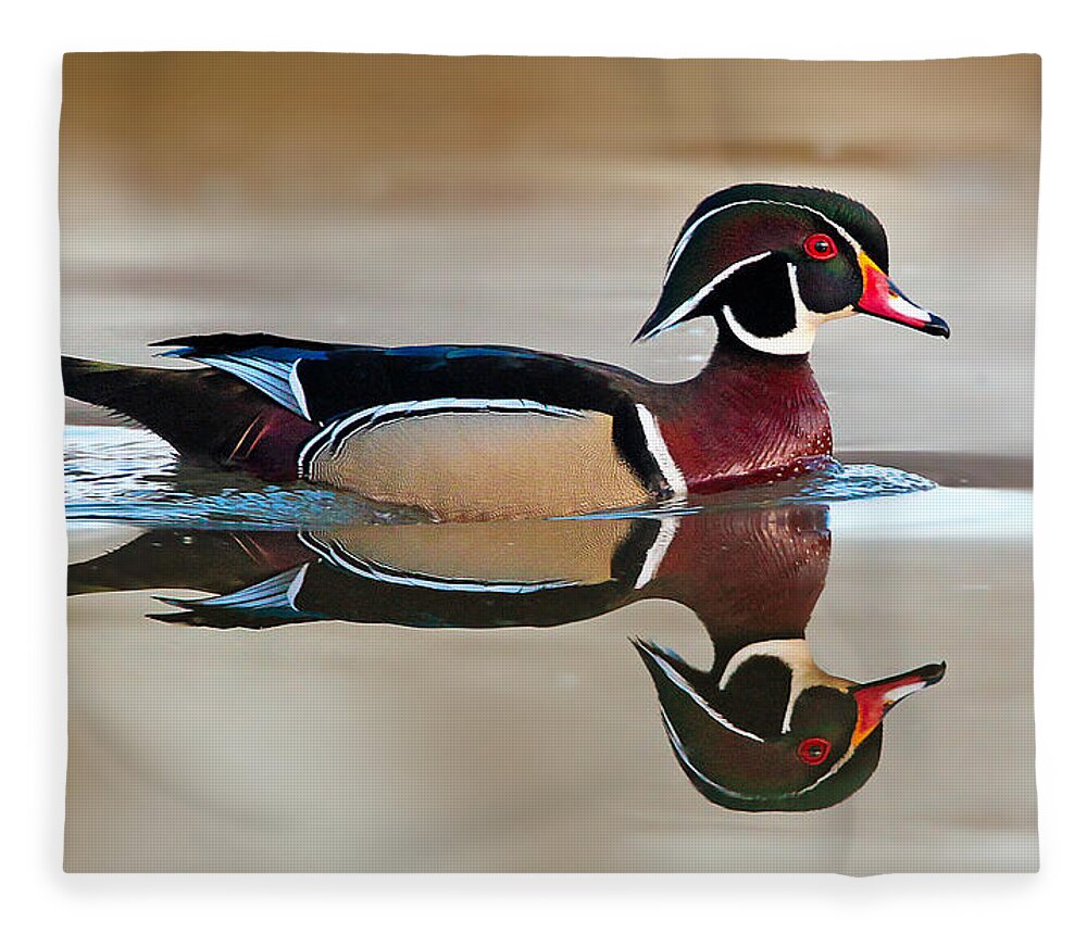 Wood Duck Fleece Blanket featuring the photograph By Design by Rob Blair