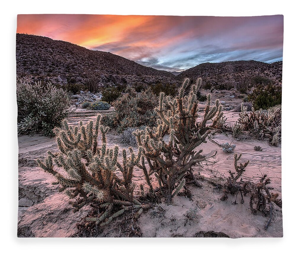 Anza-borrego Desert Fleece Blanket featuring the photograph Cac-Dusk by Peter Tellone