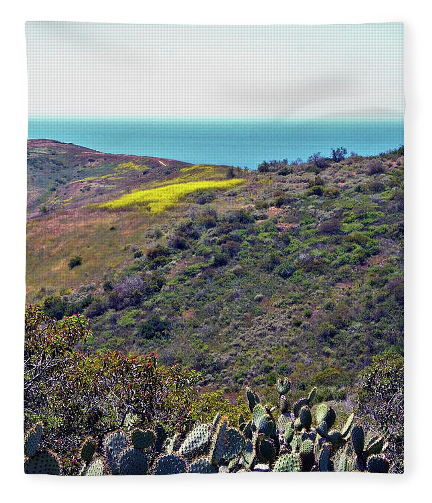 Landscape Fleece Blanket featuring the photograph Cactus To Ocean View by Ben and Raisa Gertsberg