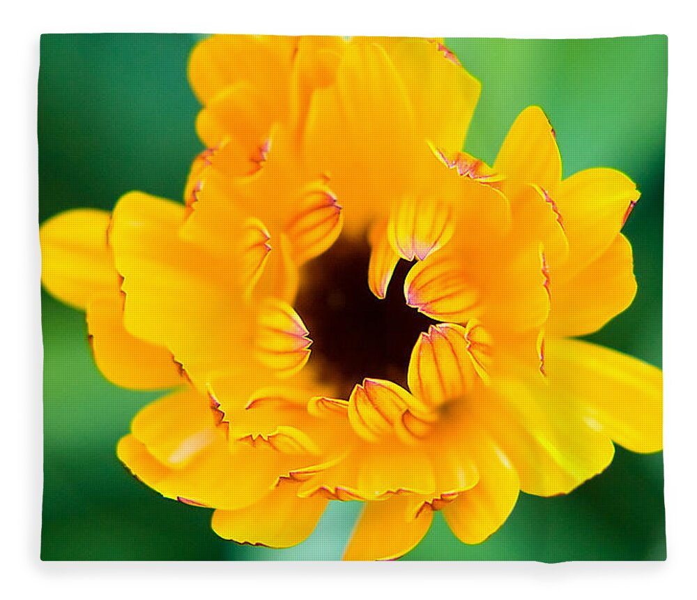 Yellow Fleece Blanket featuring the photograph Calendula by Lisa Chorny