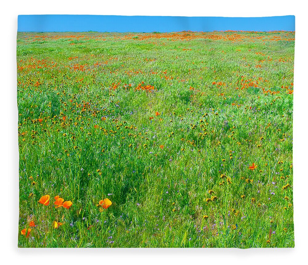 California Fleece Blanket featuring the photograph California Wildflowers by Ram Vasudev