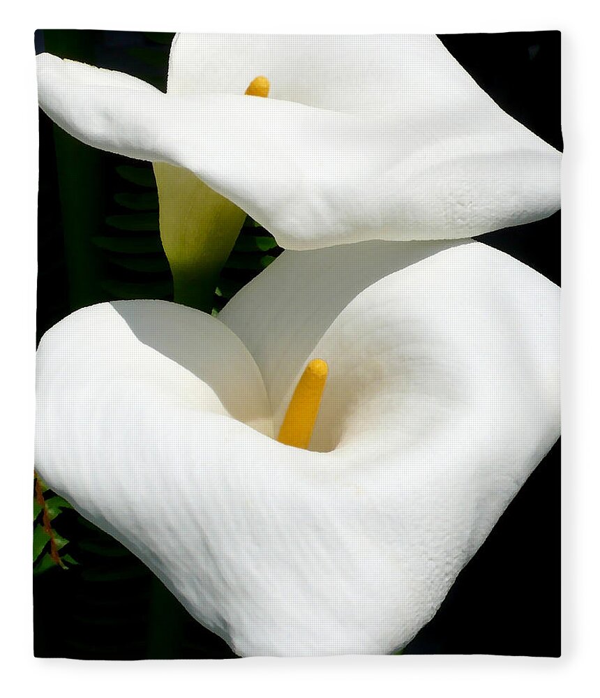 Lily Fleece Blanket featuring the photograph Calla Lilies by Katy Hawk