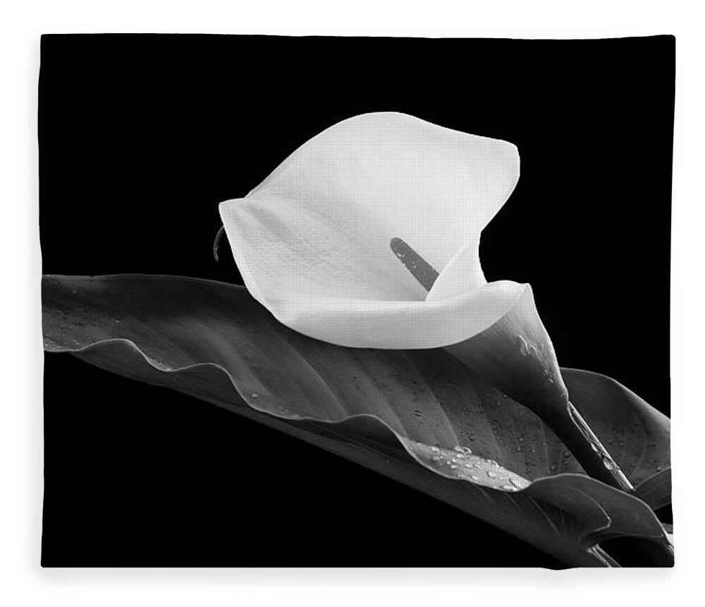 Calla Lili Fleece Blanket featuring the photograph Calla lily flower by Michalakis Ppalis