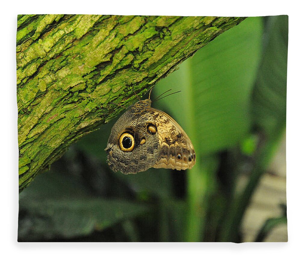 Wildlife Fleece Blanket featuring the photograph Camouflage by Richard Gehlbach