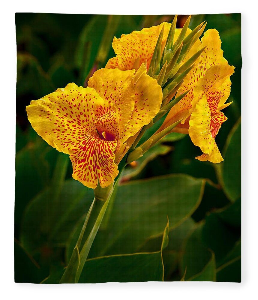 Canna Fleece Blanket featuring the photograph Canna Blossom by Mary Jo Allen