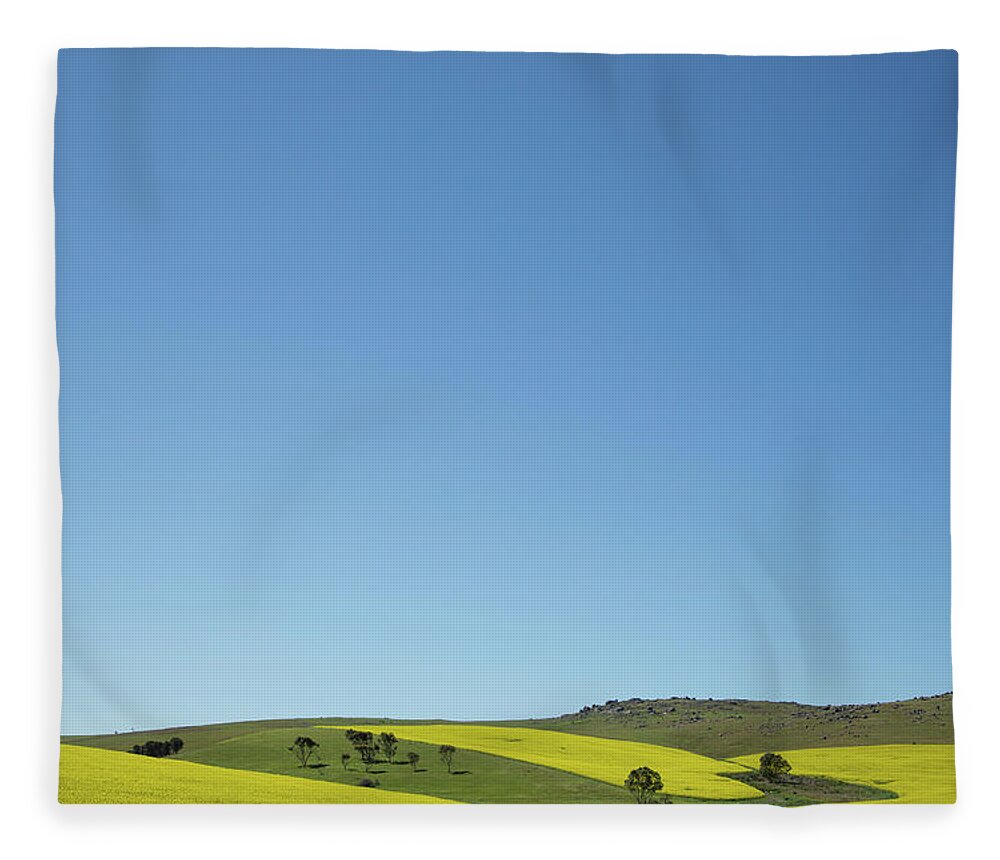Tranquility Fleece Blanket featuring the photograph Canola And Wheat Crops. South Australia by John White Photos