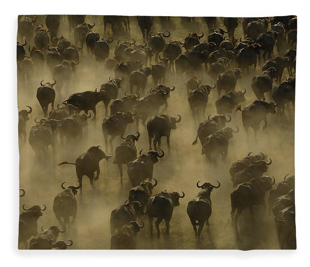 Feb0514 Fleece Blanket featuring the photograph Cape Buffalo Herd Stampeding Africa by Pete Oxford