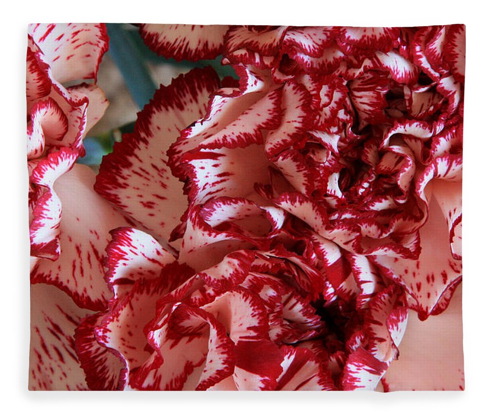 Carnations Fleece Blanket featuring the photograph Carnations by Joe Kozlowski