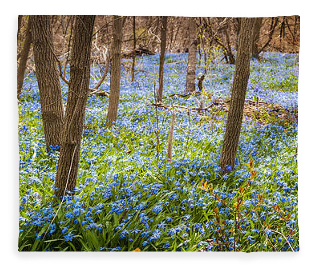 Flowers Fleece Blanket featuring the photograph Carpet of blue flowers in spring forest 3 by Elena Elisseeva