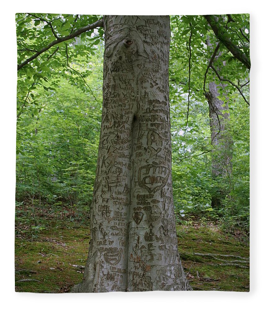 Initials Fleece Blanket featuring the photograph Tennessee Dunbar Cave Carved Tree by Valerie Collins