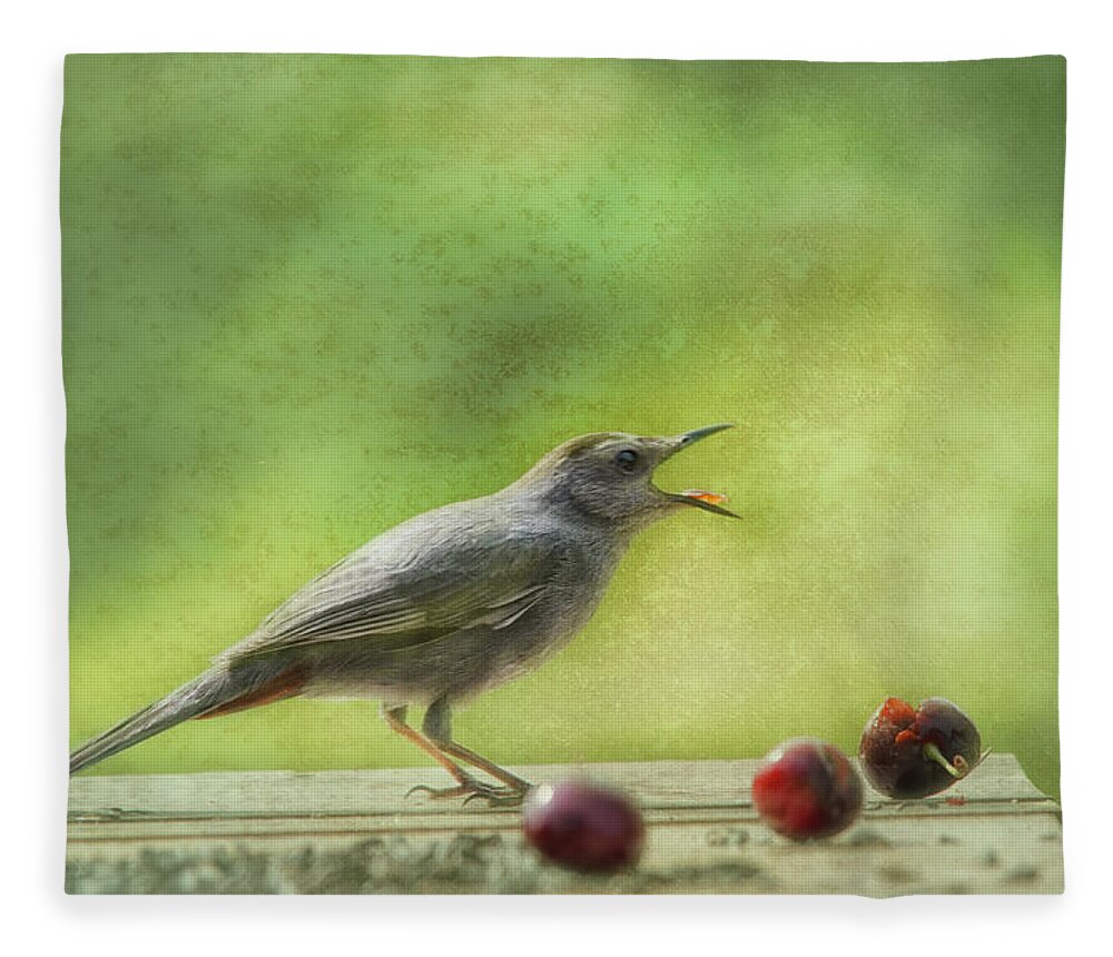 Catbird Fleece Blanket featuring the photograph Catbird Eating Cherries by Sue Capuano