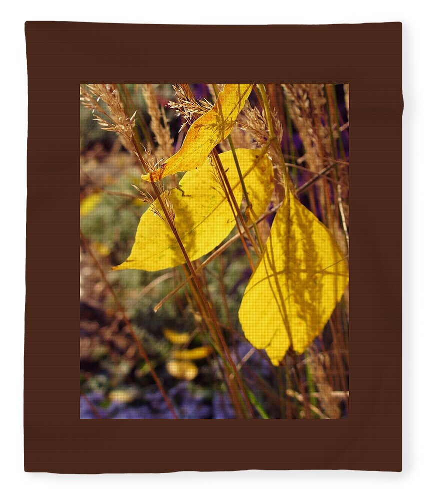 Golden Leaves Fleece Blanket featuring the photograph Catching Some Gold by Mary Wolf