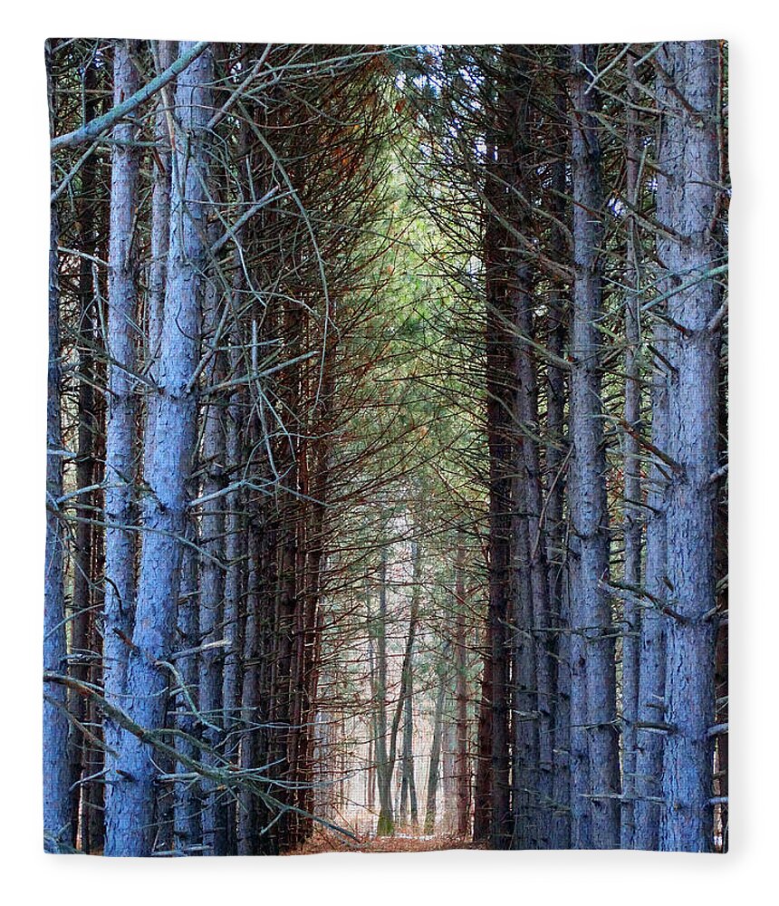 Pines Fleece Blanket featuring the photograph Cathedral of Pines by David T Wilkinson