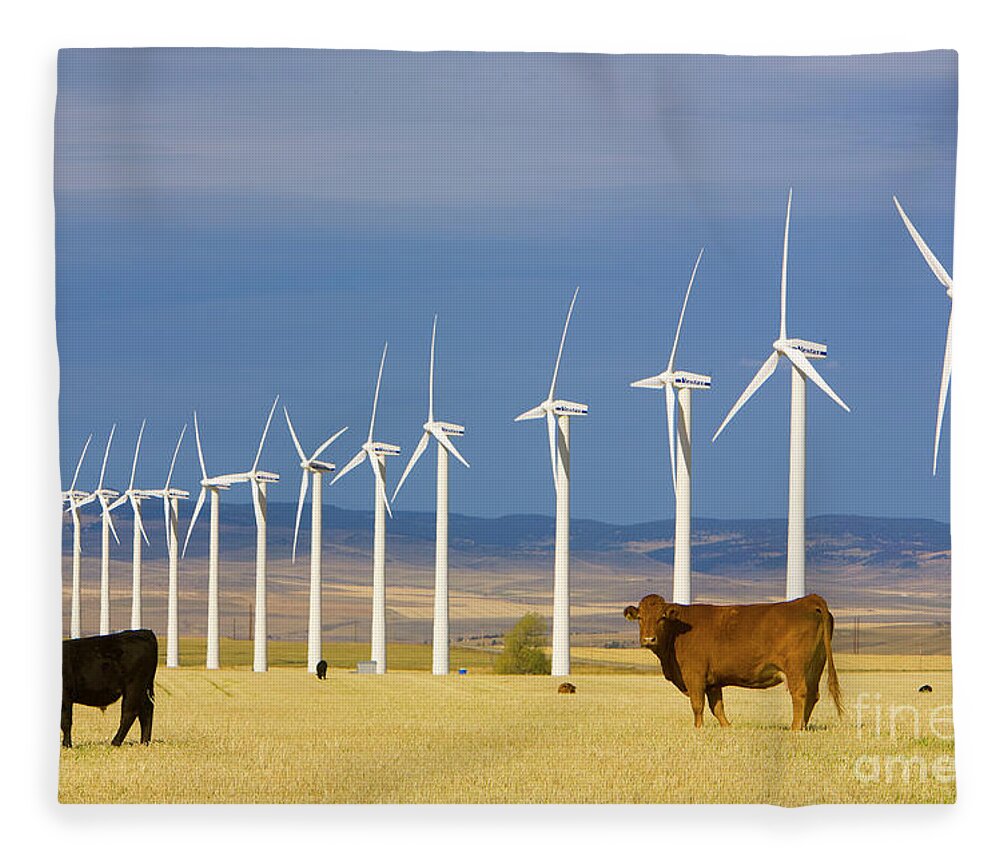 00431076 Fleece Blanket featuring the photograph Cattle And Windmills in Alberta Canada by Yva Momatiuk and John Eastcott