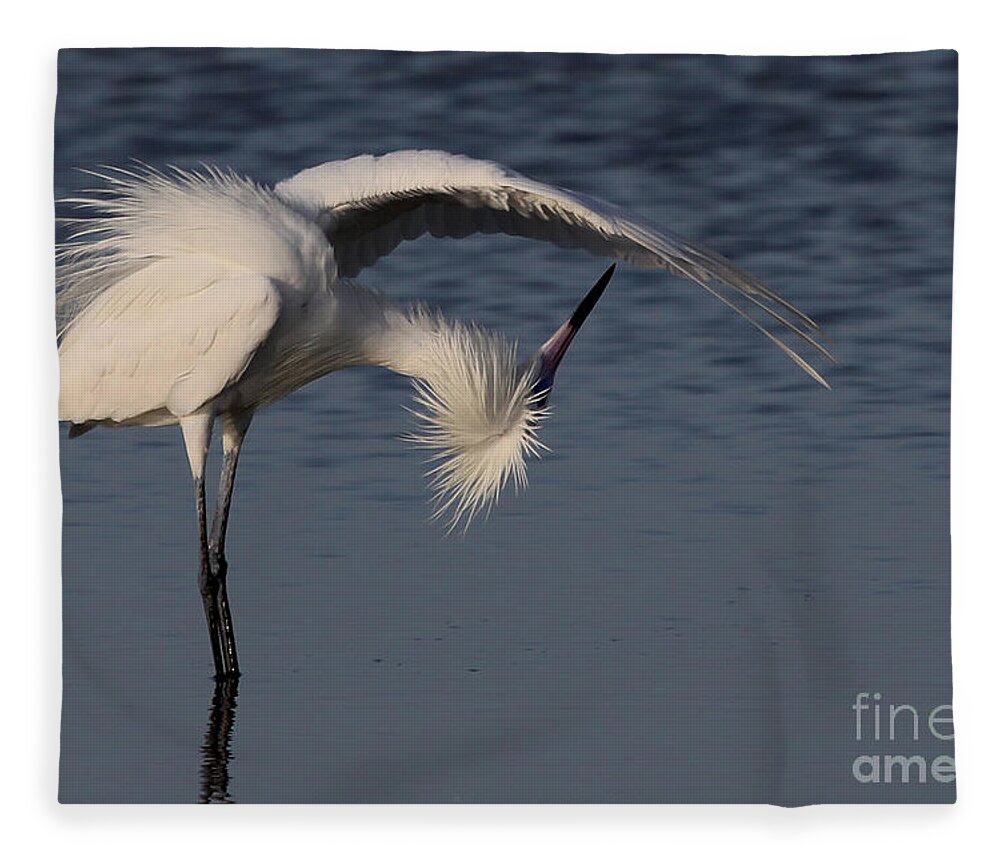 Reddish Egret Fleece Blanket featuring the photograph Checking for Leaks - Reddish Egret - White Form by Meg Rousher