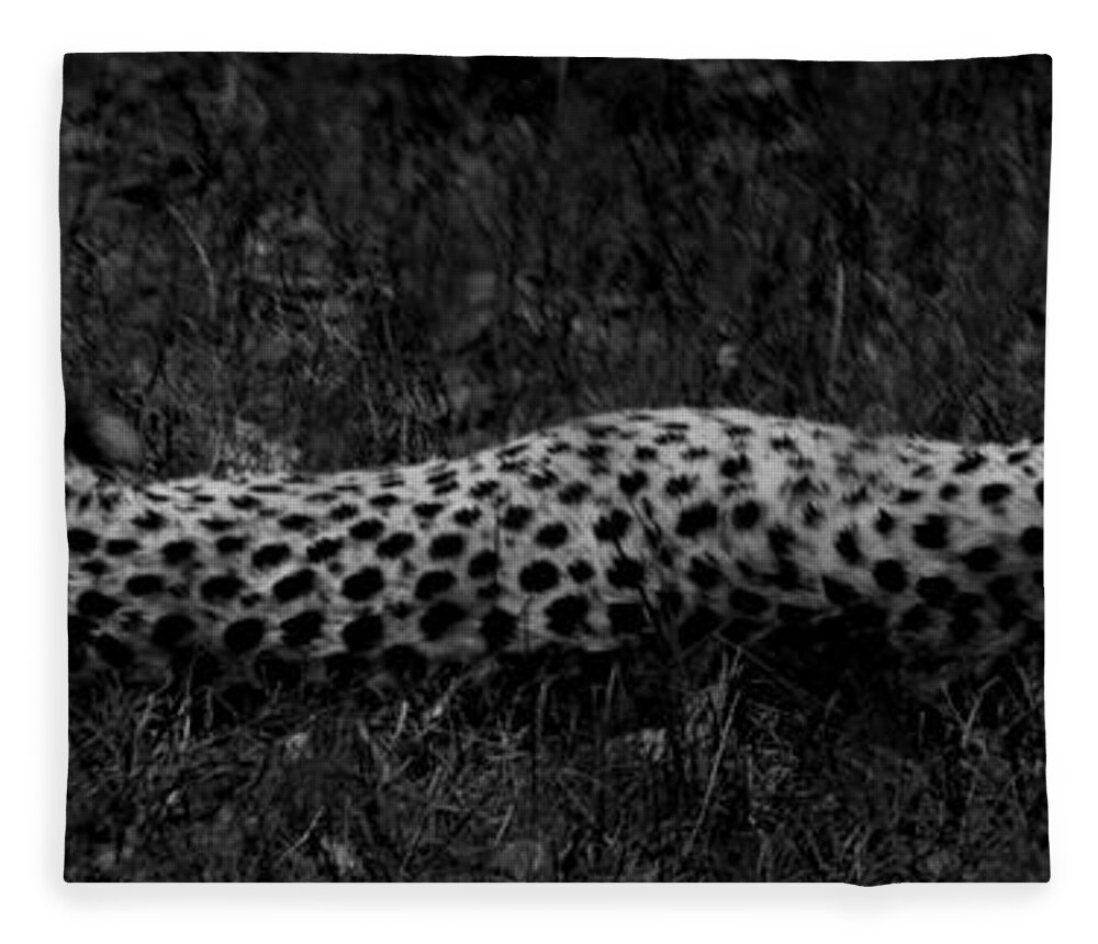 Cheetah Fleece Blanket featuring the photograph Cheetah Stretch by Maggy Marsh