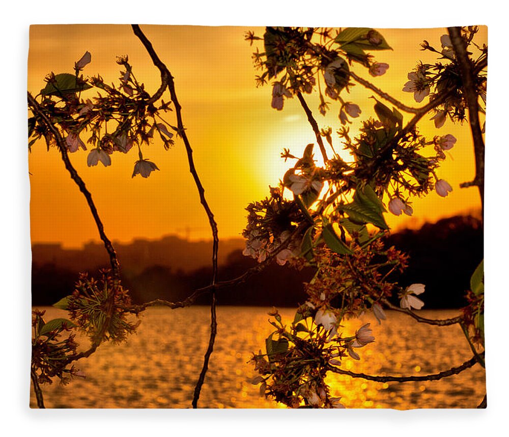 America Fleece Blanket featuring the photograph Cherry Blossom Sunset by Mitchell R Grosky