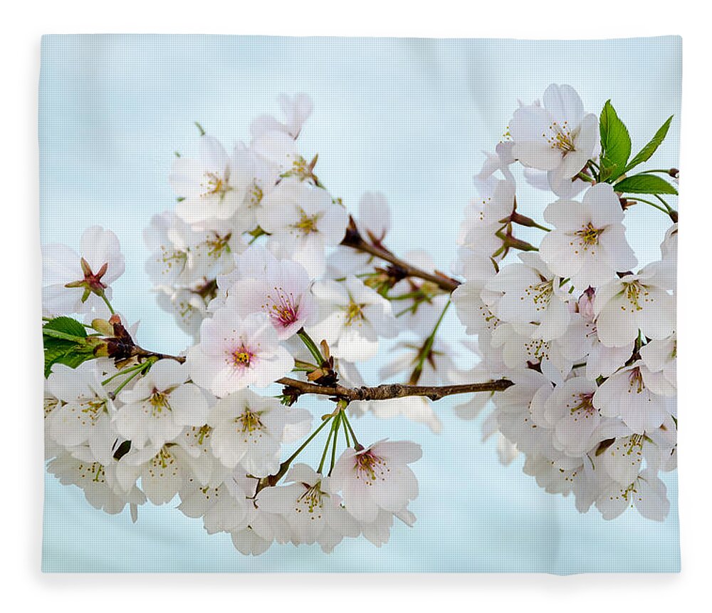 Dc Cherry Blossom Festival Fleece Blanket featuring the photograph Cherry Blossoms No. 9146 by Georgette Grossman
