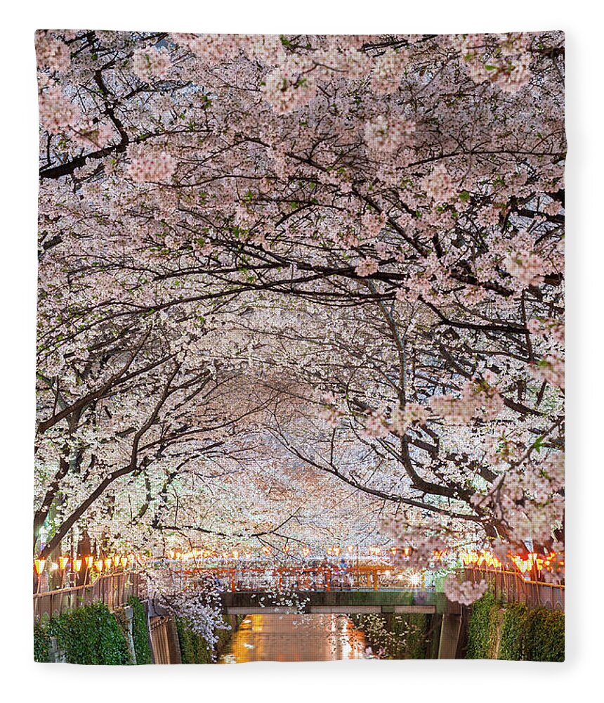 Meguro Ward Fleece Blanket featuring the photograph Cherry Blossoms Party by Glidei7