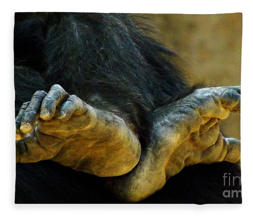 Chimpanzee Fleece Blanket featuring the photograph Chimpanzee Feet by Clare Bevan