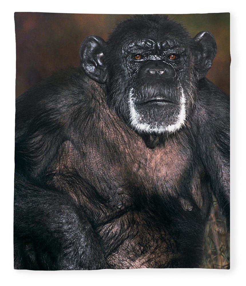Chimpanzee Fleece Blanket featuring the photograph Chimpanzee Portrait Endangered Species Wildlife Rescue by Dave Welling