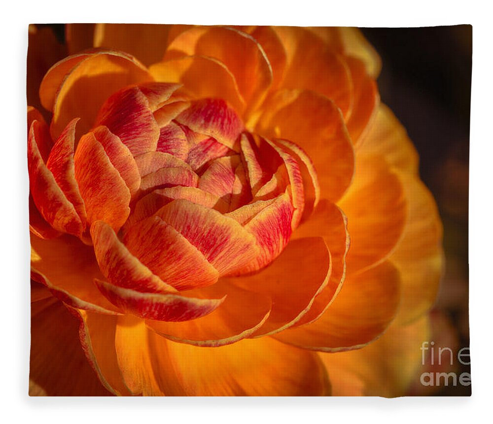 Flower Fleece Blanket featuring the photograph Citrus Beauty by Ana V Ramirez