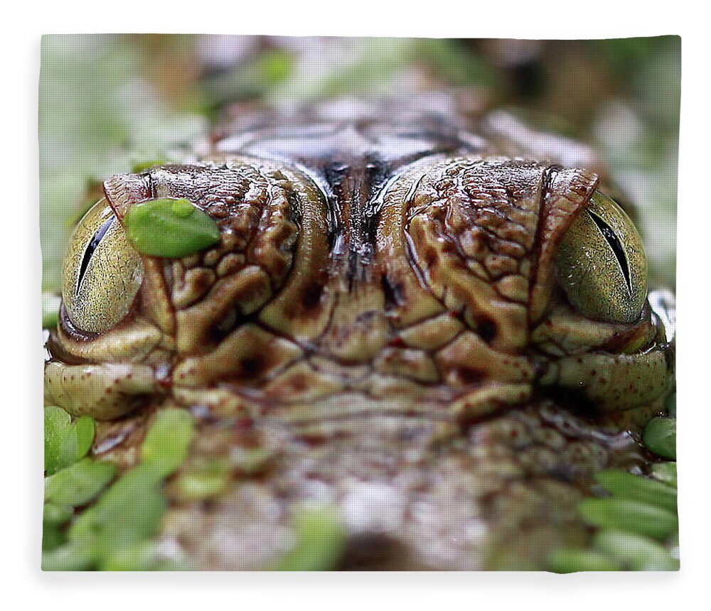 Hiding Fleece Blanket featuring the photograph Close-up Of A Crocodiles Eyes by Kuritafsheen