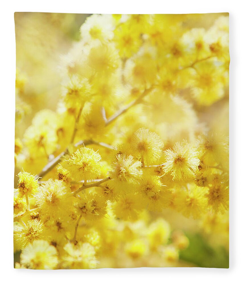 Sicily Fleece Blanket featuring the photograph Close-up Of Mimosa Flowers by Johner Images
