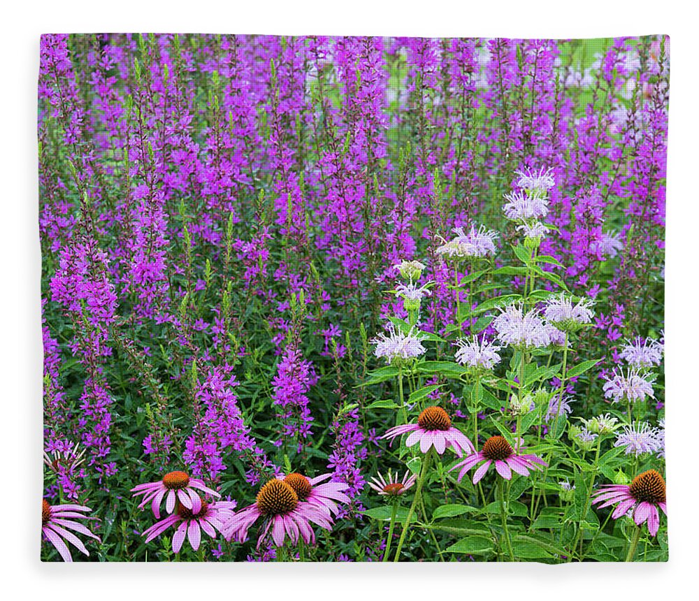 Photography Fleece Blanket featuring the photograph Close-up Of Various Flowers by Panoramic Images