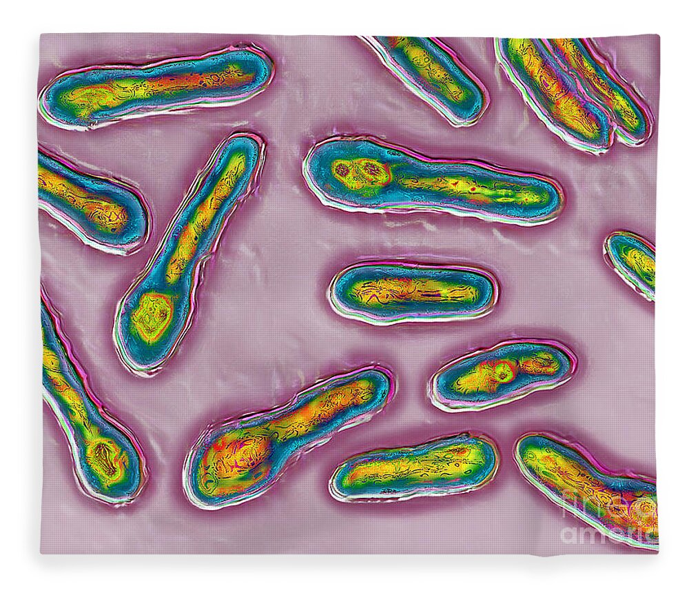 Clostridium Botulinum Fleece Blanket featuring the photograph Clostridium Botulinum Bacteria by James Cavallini