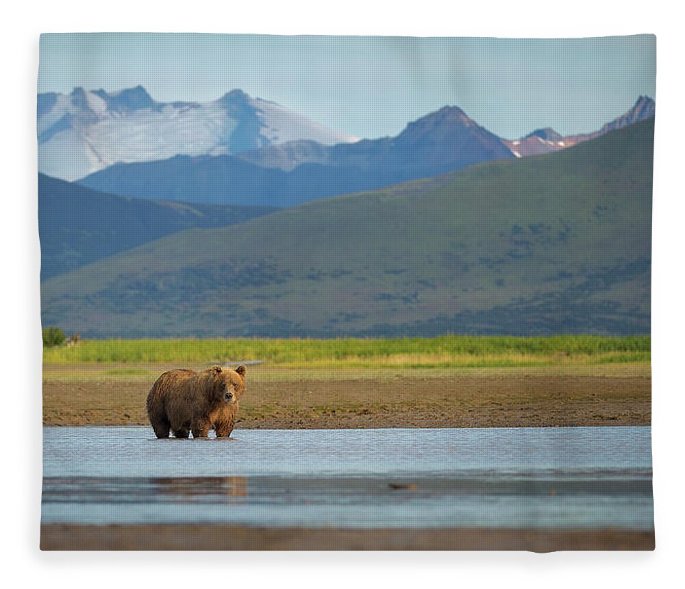 Brown Bear Fleece Blanket featuring the photograph Coastal Brown Bear by Chase Dekker Wild-life Images
