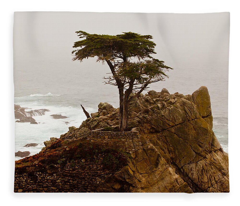 2012 Fleece Blanket featuring the photograph Coastline Cypress by Melinda Ledsome