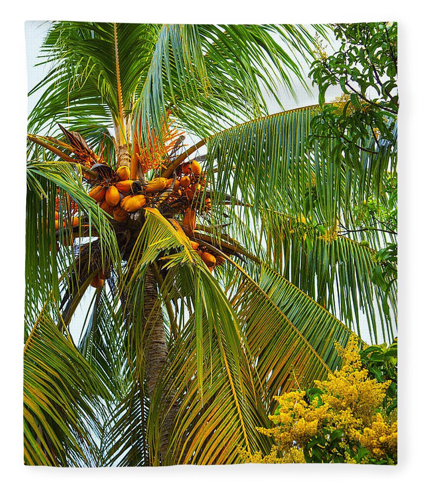 Coco Fleece Blanket featuring the photograph Coconut Palm In Tropical Garden by Gina Koch
