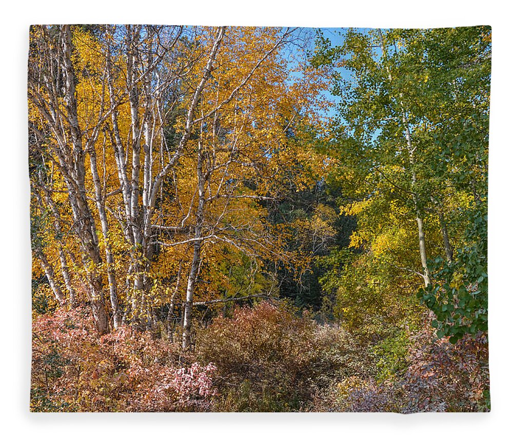 Dakota Fleece Blanket featuring the photograph Color Burst Along the Little Spearfish by Greni Graph